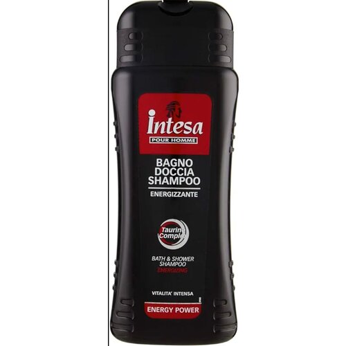 Intesa muška kupka i šampon 2u1 power energy 500 ml Cene