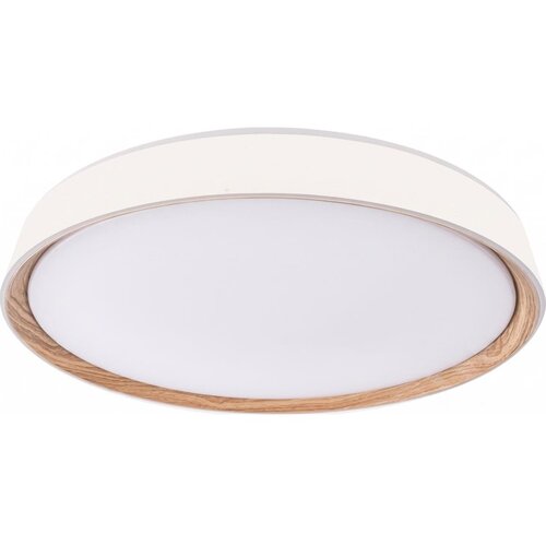  LED prigušiva stropna svetiljka ILVI LED/45W/230V 2700-6500K prečnika 50 cm bela/bež + daljinski upravljač Cene