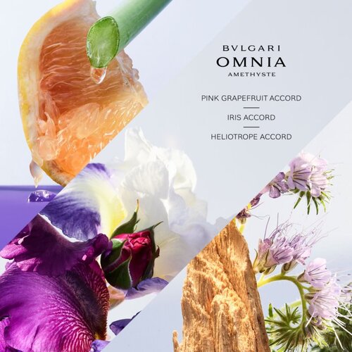 Bulgari Omnia Amethyste toaletna voda za ženske 50 ml Slike