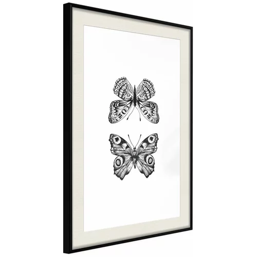  Poster - Butterfly Collection I 40x60