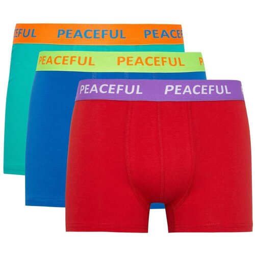 Defacto regular Fit 3-Piece Boxer Slike