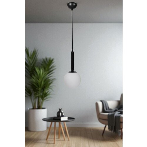 Opviq luster 2614043, Crni Cene