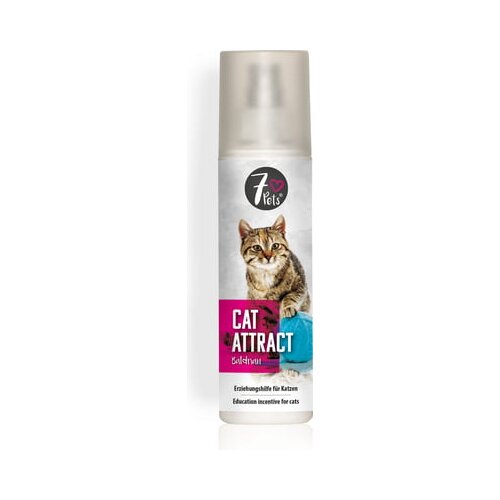 7Pets Cat Attract Cene