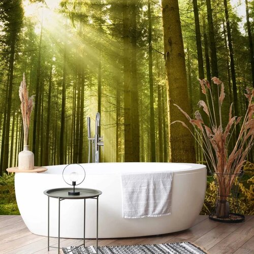  Foto tapeta - Pine forest – dense woodland in morning sunlight 150x105 Cene