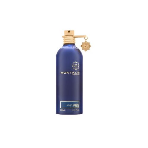 Montale Paris Aoud Ambre EDP 100 ml Slike