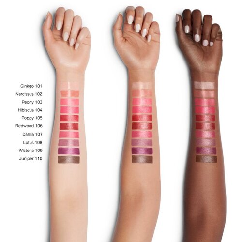 Shiseido ColorGel LipBalm balzam za ustnice za toniranje z vlažilnim učinkom odtenek 106 Redwood (red 2 g Slike