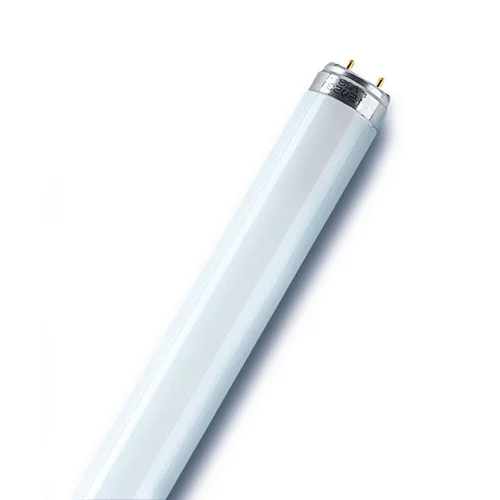 Osram Fluorescentna žarulja (60,4 cm, Hladna bijela, 1.300 lm)