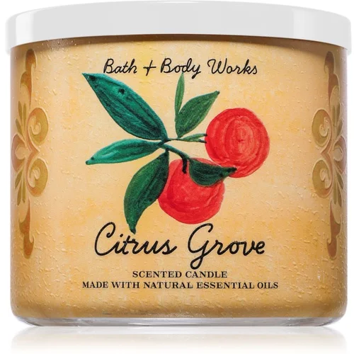 Bath & Body Works Citrus Grove dišeča sveča 411 g