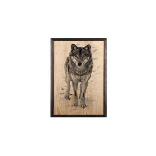 Wallity slika wolf, 35 x 50 cm Cene