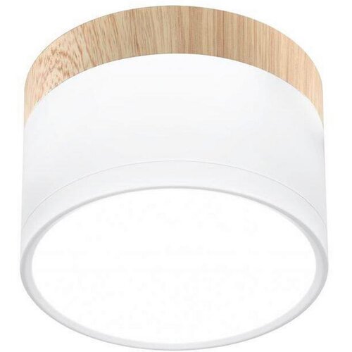 Lesnina XXXL STROPNA LED-SVETILKA 9 W 590 lm 4000 K 230 V Cene