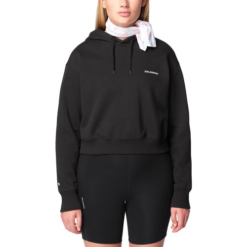 Salomon Logo Hd duks Cene