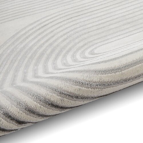 Think Rugs Svetlo siva/kremno bela preproga 80x150 cm Apollo &amp;ndash; Slike
