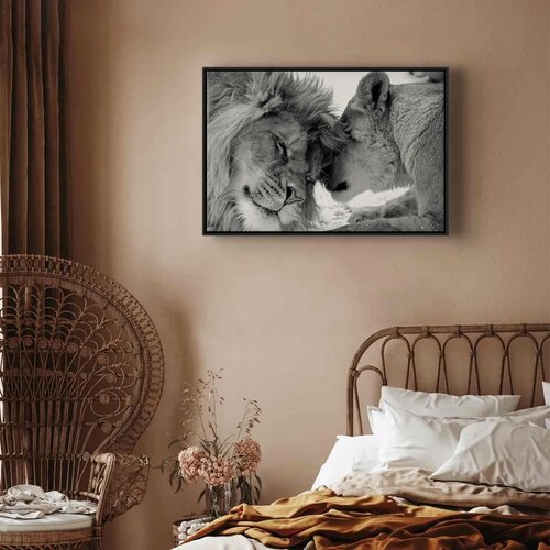  Slika - Lion\&amp;#039;s Love 90x60 U crnom drvenom okviru Slike