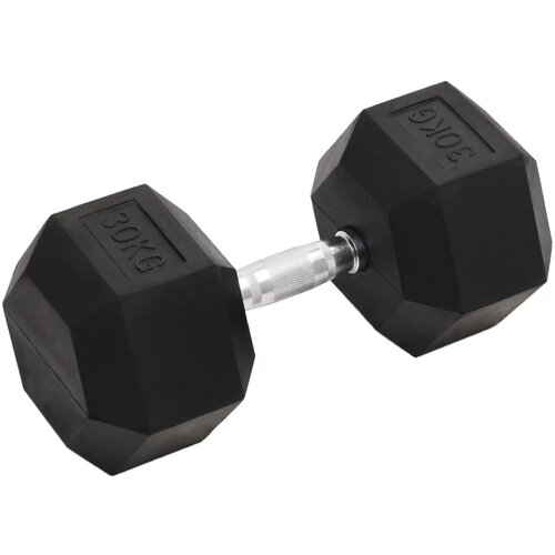 vidaXL Utež 30 kg lito železo Cene