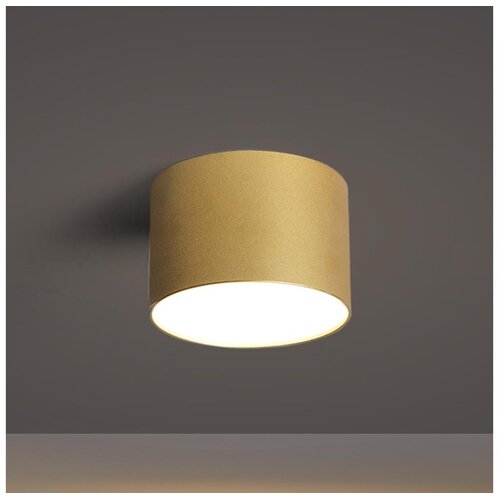 Brilagi Plafonsko svetlo za kupatilo FORIS LED/9W/230V prečnik 9 cm zlatno IP44 Slike