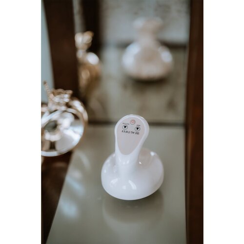Beautifly B-Modello Body masažna naprava za telo 1 kos Slike