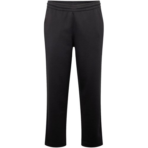 Champion Authentic Athletic Apparel Sportske hlače 'American' crna Cene