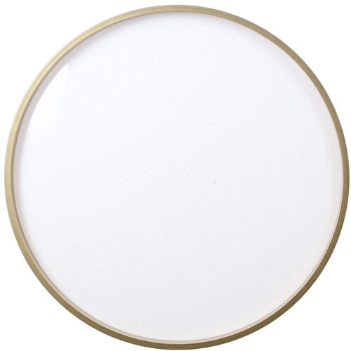 Candellux Lighting Bijela/u zlatnoj boji LED stropna svjetiljka &oslash; 33 cm Florida &ndash; Cijene
