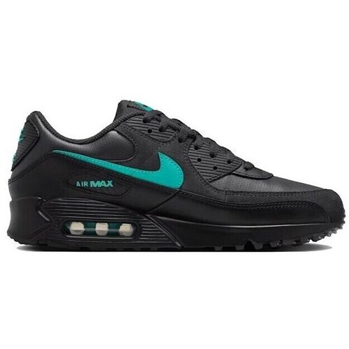 Nike Nizke superge Air Max 90 GTX pisana Cene
