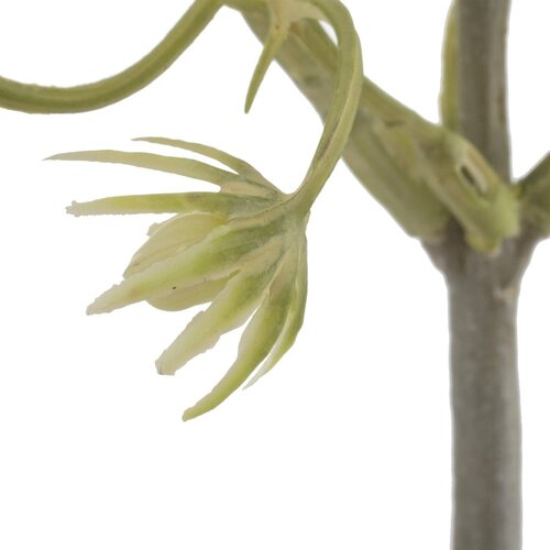 Ixia Umjetna grančica (visina 55 cm) &amp;ndash; Slike