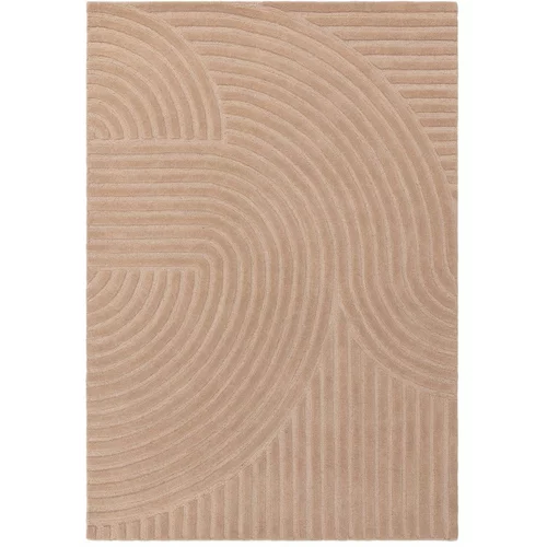Asiatic Carpets Rožnata volnena preproga 120x170 cm Hague –