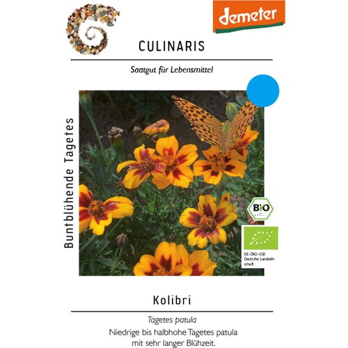  Žametnica "Kolibri" - 1 pkt. Cene