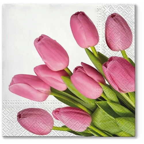  Serviete za decoupage Lovely Tulips - 1 kos (Serviete za decoupage)