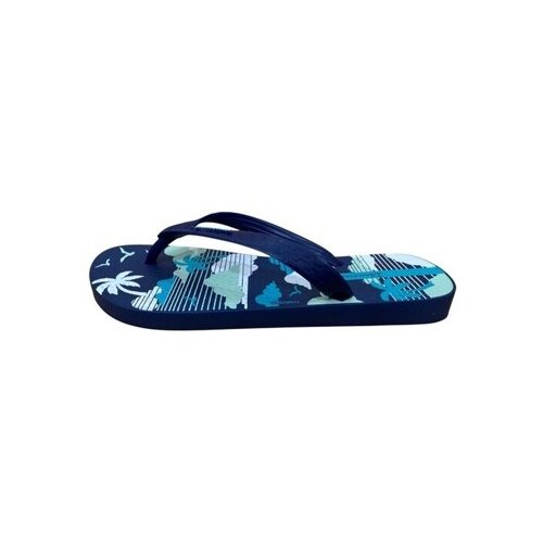 Ipanema Japonke 83755 BL970 Marino Modra Slike