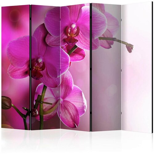 Artgeist PARAVAN 225/172/3 cm barve gozdnih sadežev, magenta Cene