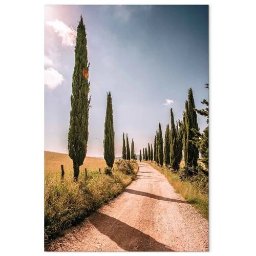  Slika - Italian cypresses (1 Part) Vertical 60x90 Akustična Cijene