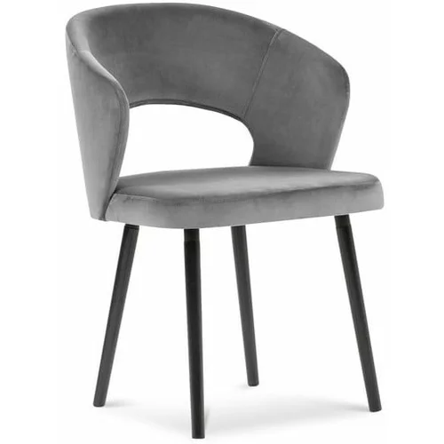 Windsor & Co Sofas siva blagovaonska baršunasta stolica Elpis