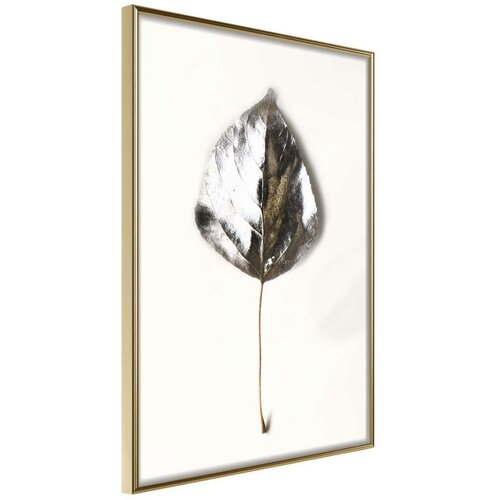  Poster - Silvery Leaf 20x30 Slike