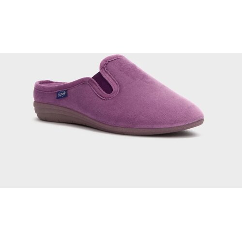Scholl GLOOMY lila papuce Cene