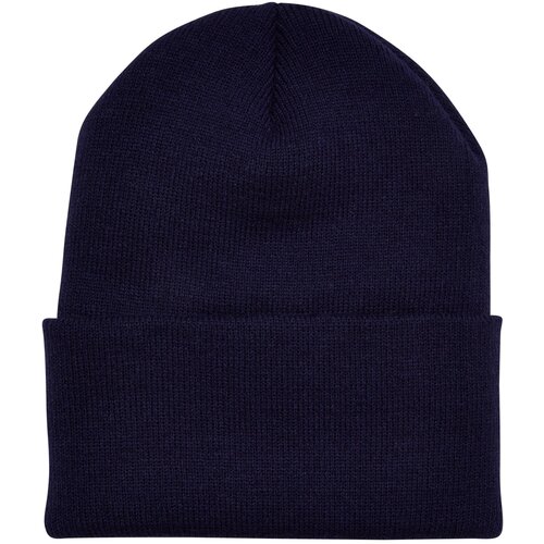 Flexfit Thinsulate Cuffed Beanie navy blue Slike