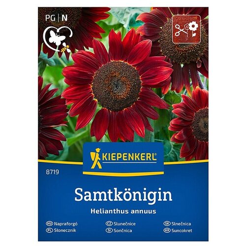 KIEPENKERL Cvetlična semena Sončnica Samtk&ouml;nigin (Helianthus annuus, Rdeča) Cene
