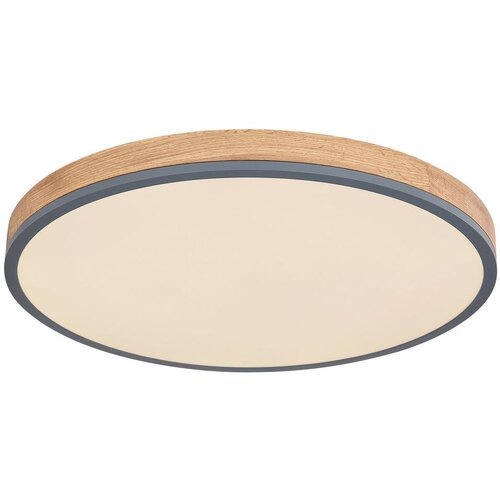 Globo STROPNA LED-SVETILKA DORO 60/8,5 cm Slike