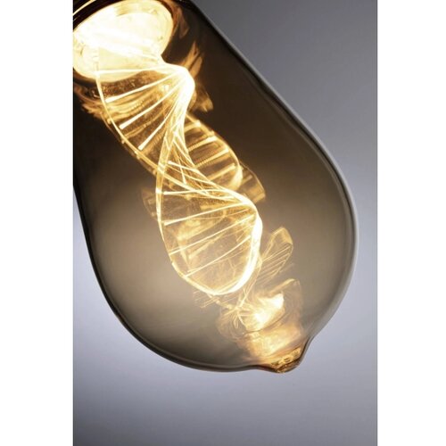 PAULMANN LED sijalica INNER ST64 E27/3,5W/230V 1800K - Paulmann 28885 Slike