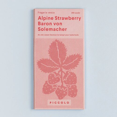  Gozdna jagoda “Baron von Solemacher” - 1 pkt. Cene
