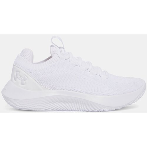 Under Armour Women's shoes UA W Dynamic 2 - Women's Cene