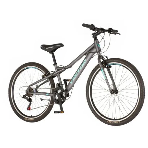 Visitor Mountain bike Aurora 26" Sivo-Tirkiz Cene