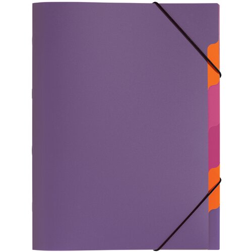 Pagna Organizator mapa Funky School, DIN A4, PP, 5 predelkov, (21652614) Slike
