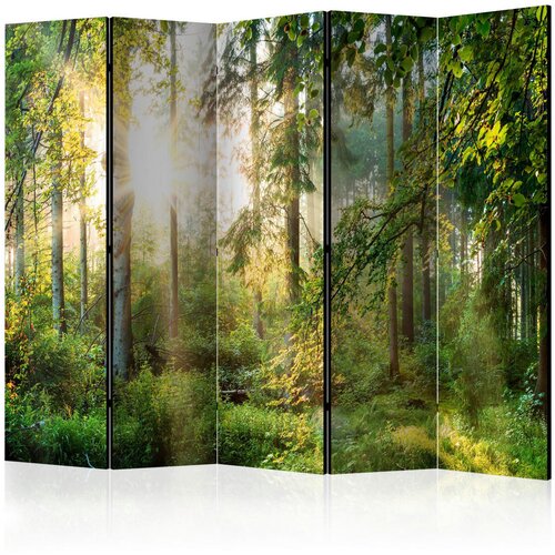 Artgeist PARAVAN 225/172/3 cm temno zelena, svetlo zelena Cene