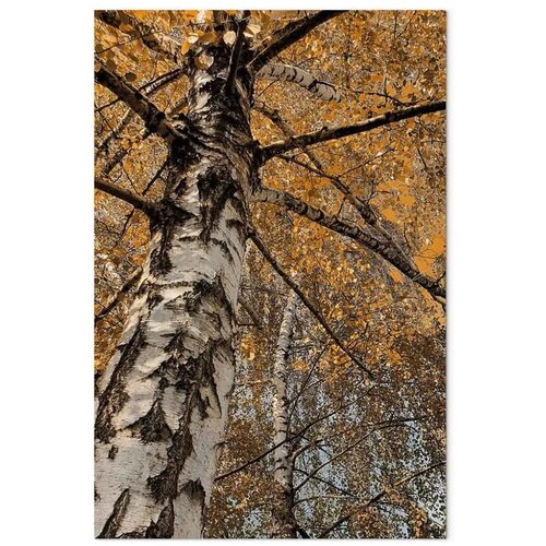  Slika - Autumn Colours (1 Part) Vertical 80x120 Slike