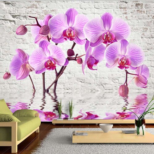  Tapeta - Purple Delight 250x175 Slike