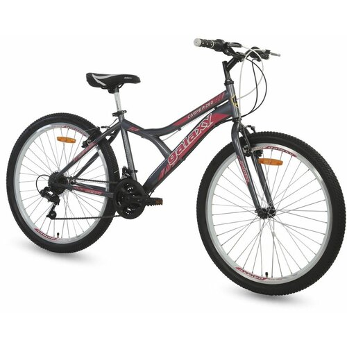 Galaxy casper 260 26"/18 siva/roza muški bicikl Cene