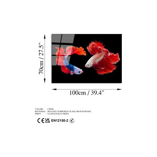 Wallxpert dekorativna slika od kaljenog stakla fishes (uv 167) 70 x 100 cm Slike