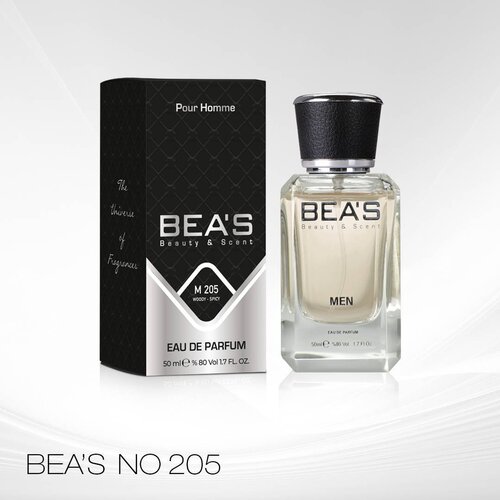 Kesi M205 Invoctus Intenso - Men's perfumes 50 ml Slike