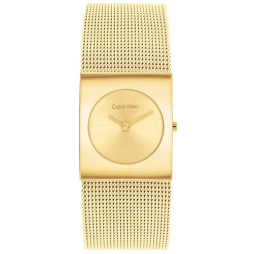 Calvin Klein CALVIN KLEIN ročna ura 25100062 Slike