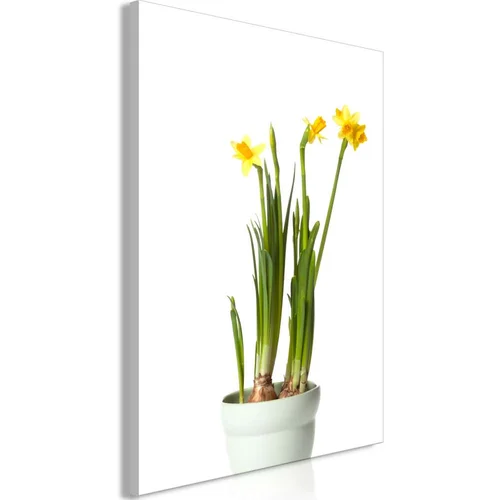  Slika - Narcissus (1 Part) Vertical 40x60