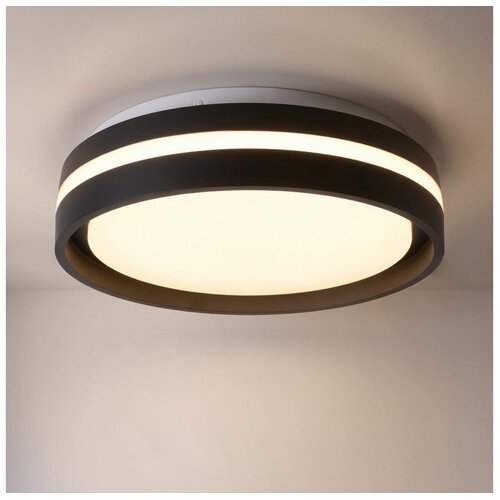  Brilagi - LED plafonsko svetlo NAOMI LED/24W/230V prečnik 28,5 cm crno Cene